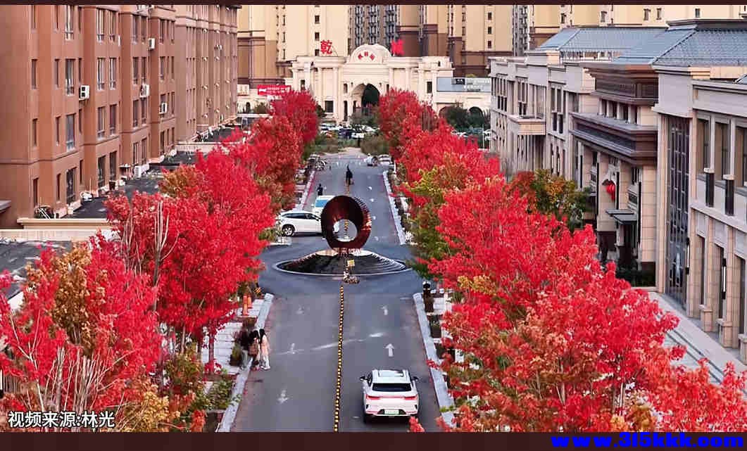 敦化城区某小区内的红叶