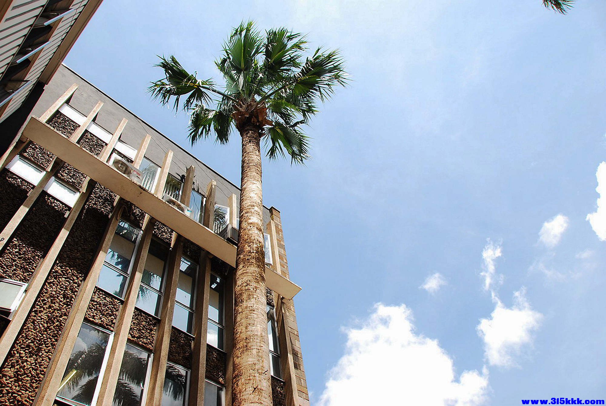 内罗毕大学 20080425@028.jpg