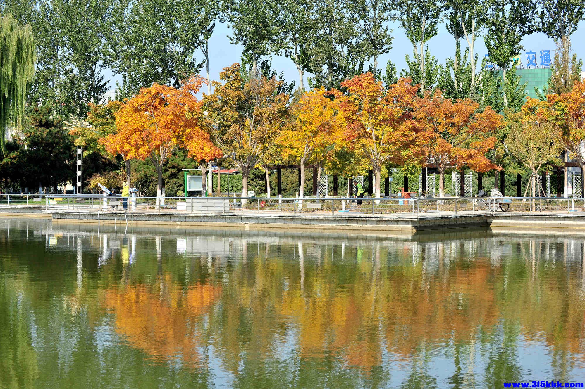 @0032025 11 3@003.jpg