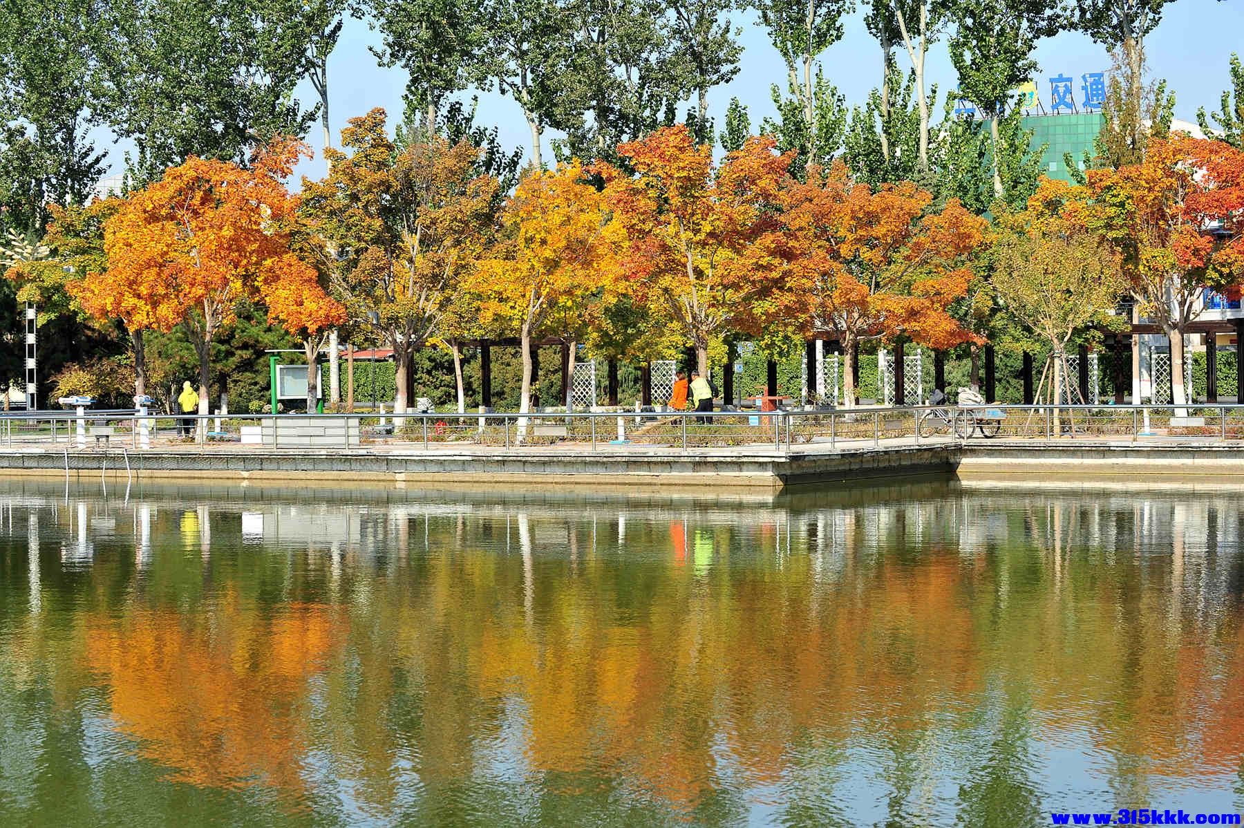 @0052025 11 3@005.jpg