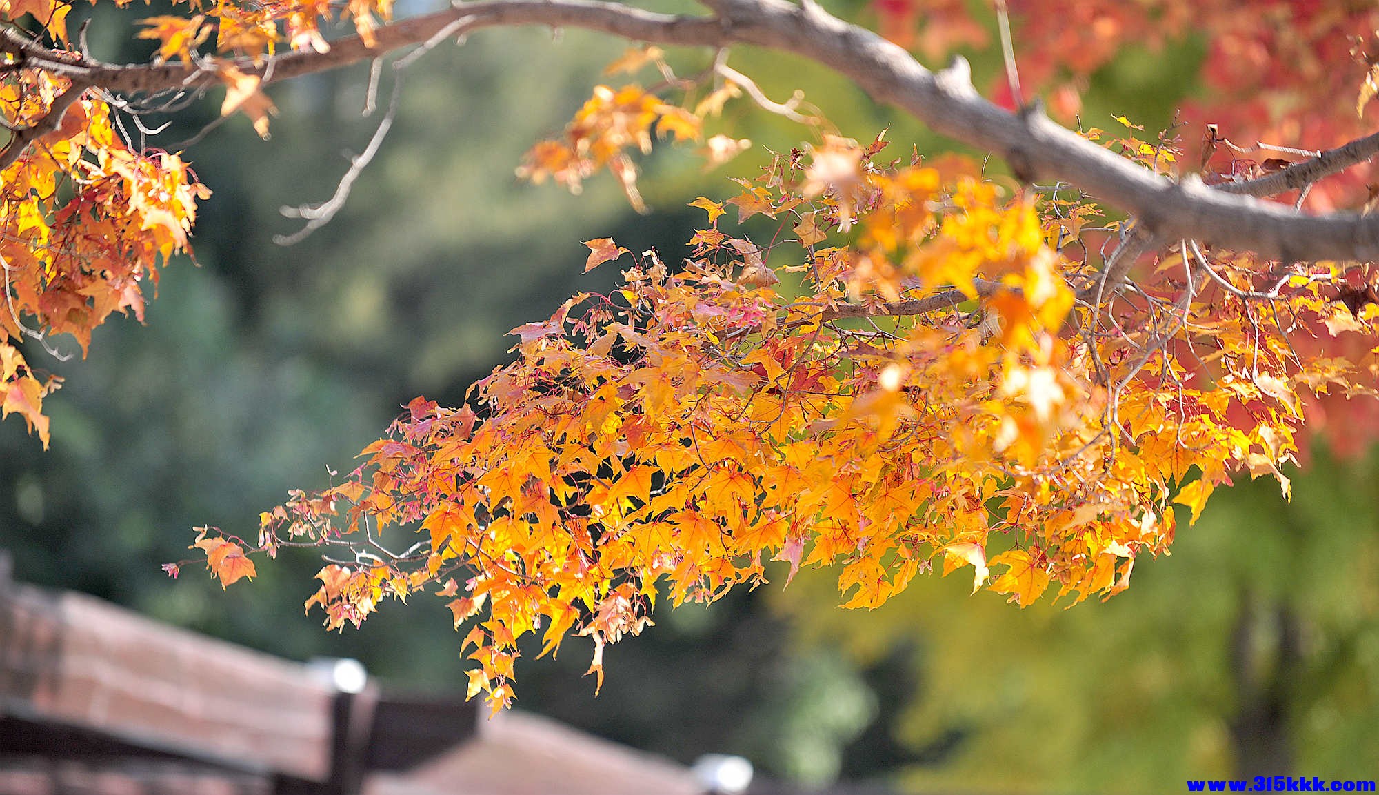 @0082025 11 3@008.jpg