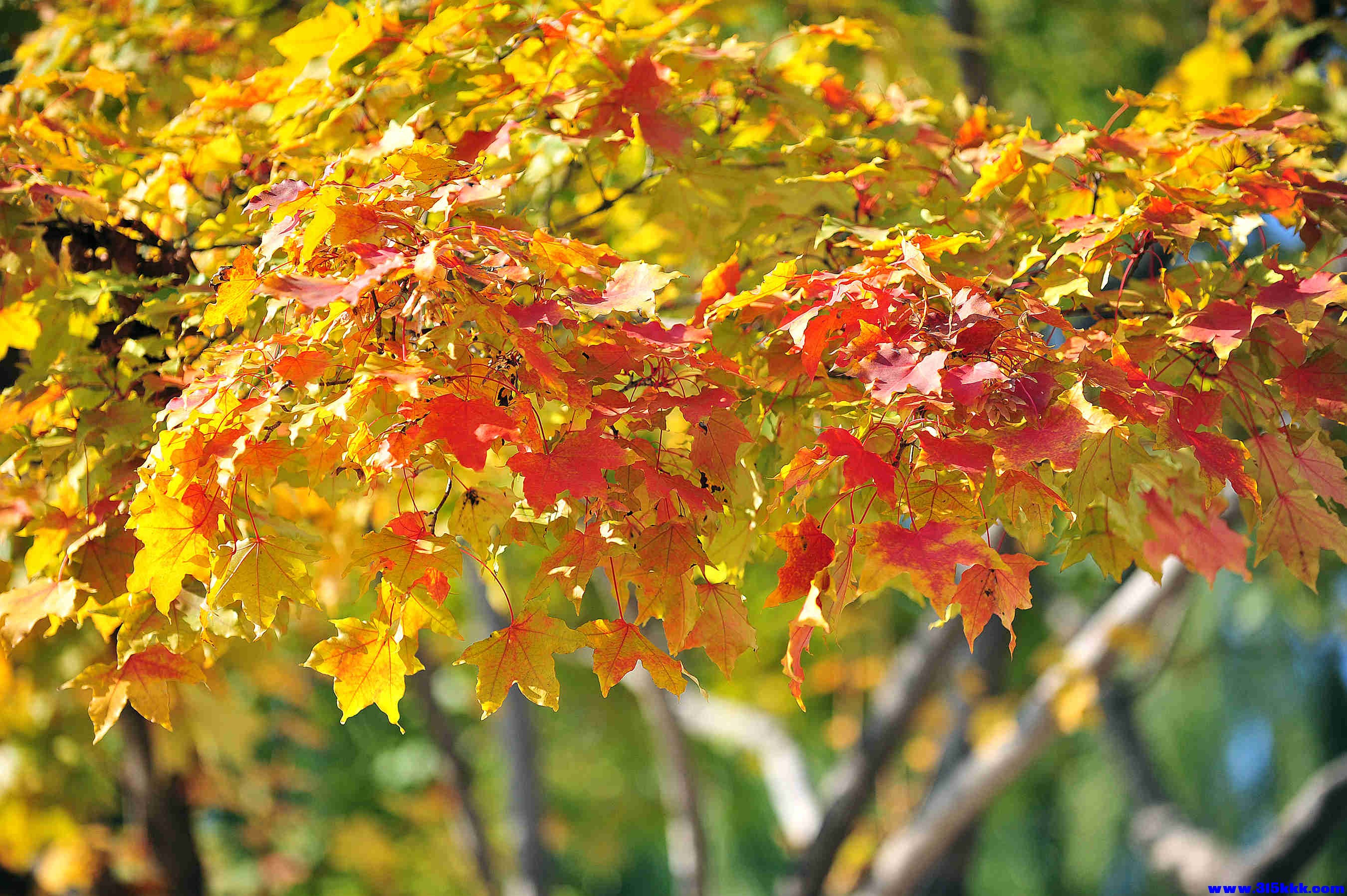 @0102025 11 3@010.jpg