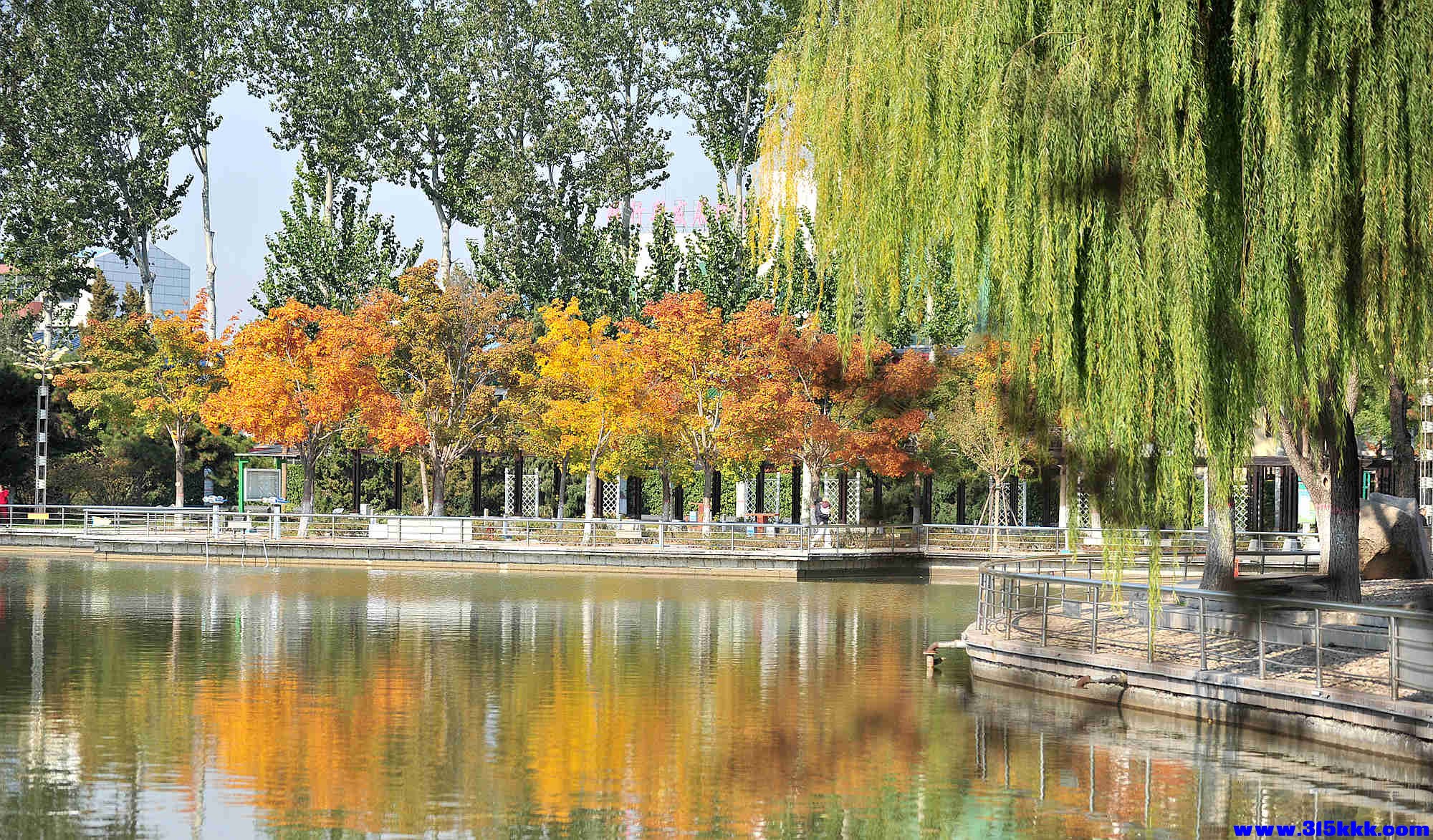 @0142025 11 3@014.jpg