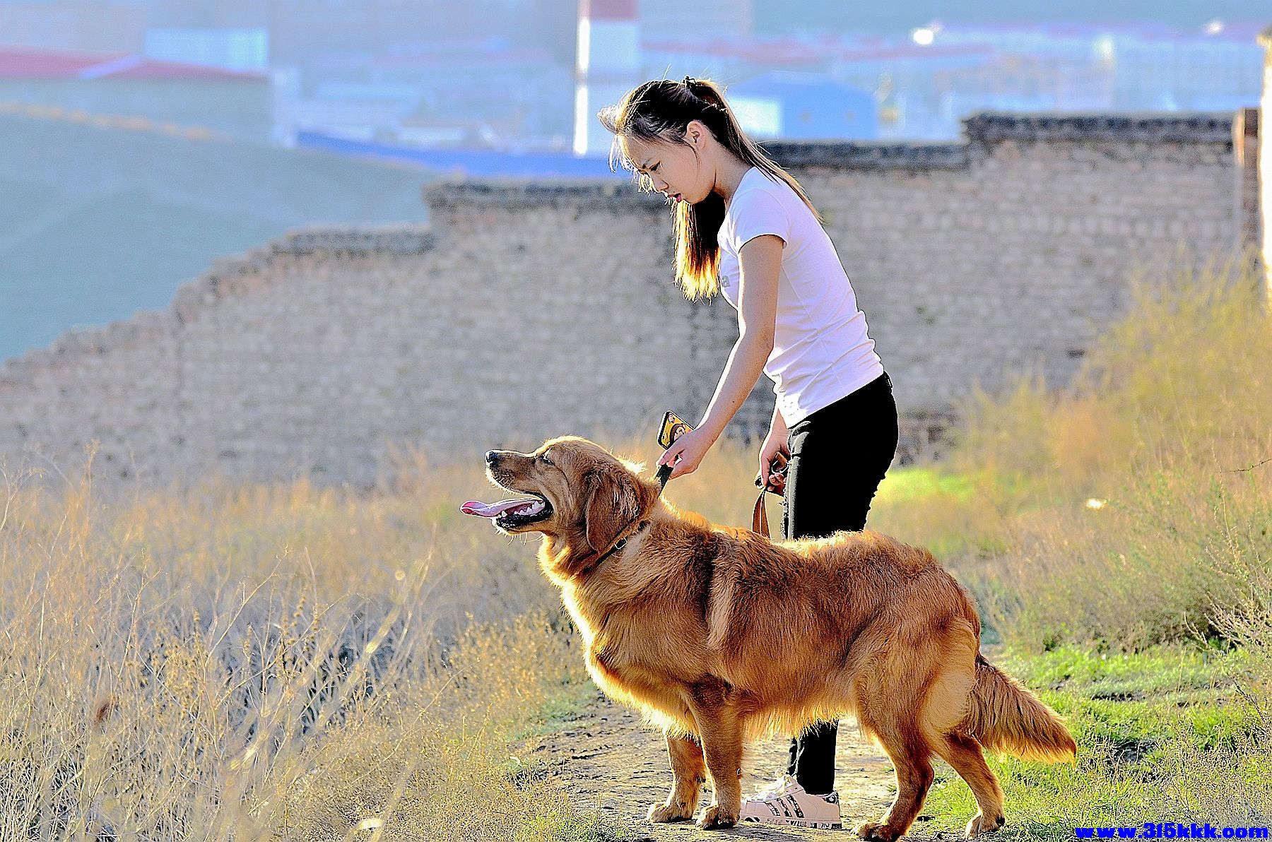 女热狼狗 乌鲁木齐@003.jpg