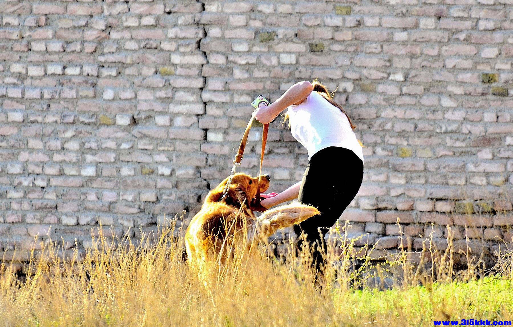 女热狼狗 乌鲁木齐@007.jpg