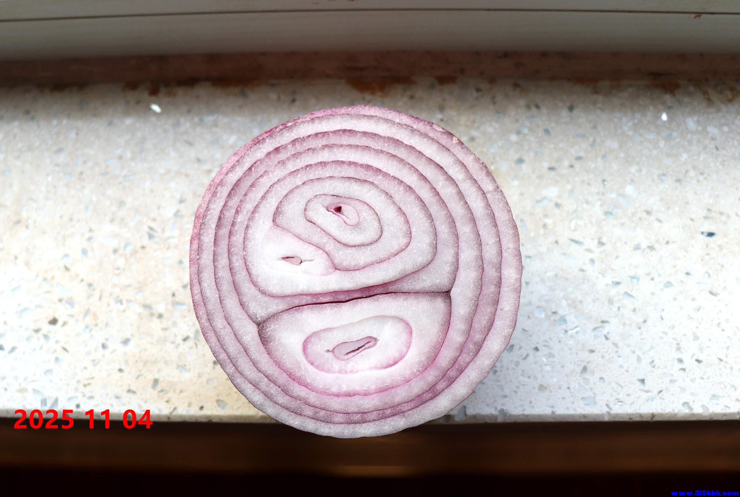 图一：圆葱切面（彩色））