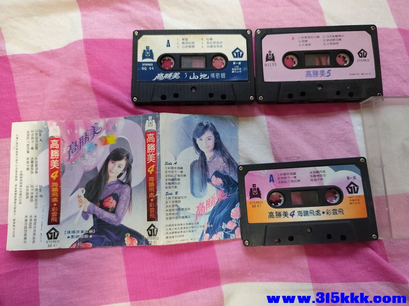 高胜美 01_调整大小.jpg