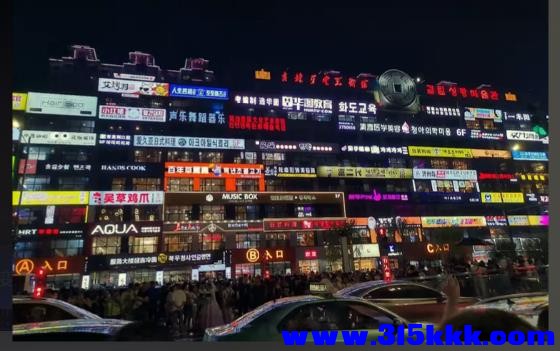 延吉市延大网红墙